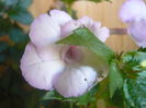 P1070469