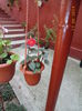 DSC04164