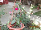DSC04174