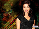 priyanka-chopra-wallpaper-71-12x9
