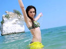 housefull_041513054541