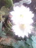 IMG_20140817_132158