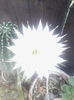 IMG_20140817_132205