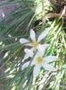 IMG_20140830_154818