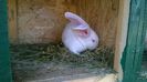 WP_20140831_014