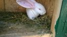 WP_20140831_015