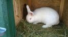 WP_20140831_020