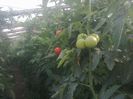 photo0331