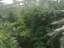 photo0332