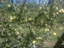 photo0356