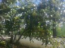 photo0361