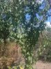 photo0366