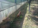photo0367