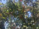 photo0370
