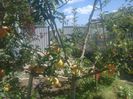 photo0371