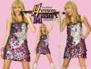 HANNAH-MONTANA-hannah-montana-the-movie-9286719-1024-768