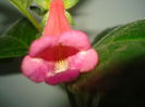 DSC09701