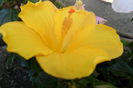 Picture 080