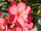 DSCN9317