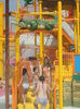 DSC00353