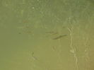 DSC01790
