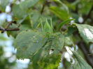 DSC01786
