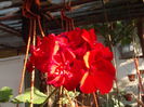 DSCF2055