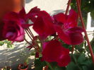 DSCF2057