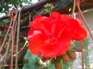 DSCF2058
