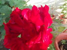 DSCF2059