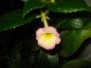 DSC09725