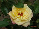 DSC07260