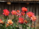 DSC07319