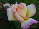 DSC07343