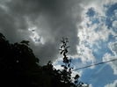 DSCN7821