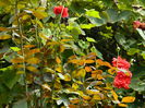 DSCN7822