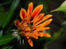 DSCN7829