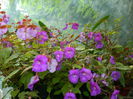 DSCN7833