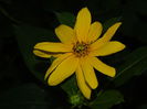 DSCN7902