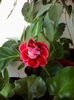 IMG_20140901_134540