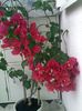Pic_0807_948