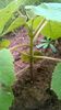 WP_20140824_003