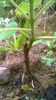 WP_20140824_004
