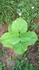 WP_20140824_005
