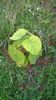 WP_20140824_006