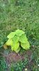 WP_20140824_008