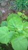 WP_20140824_009