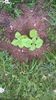 WP_20140824_010