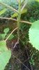 WP_20140824_011