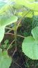 WP_20140824_012